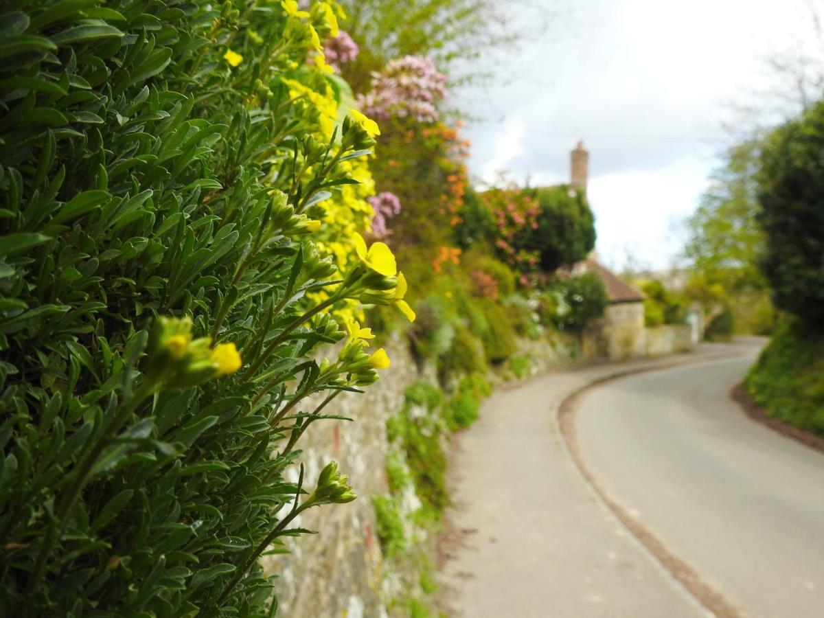 Church Combe - Petworth West Sussex 호텔 외부 사진