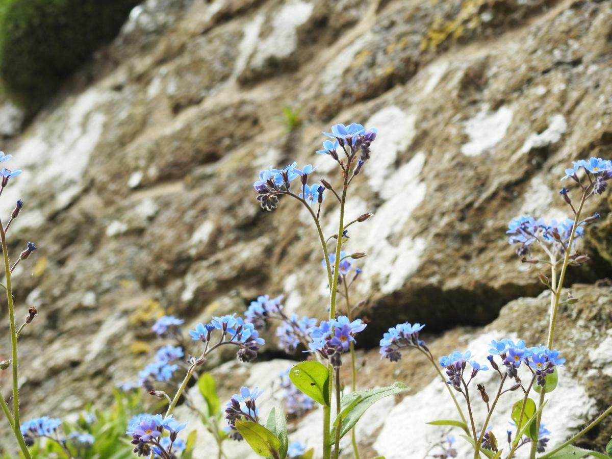 Church Combe - Petworth West Sussex 호텔 외부 사진